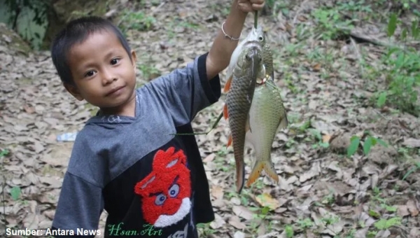 ikan lokal banjarmasin